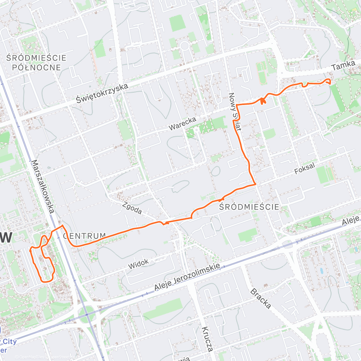 Карта физической активности (Muzeum Chopina)