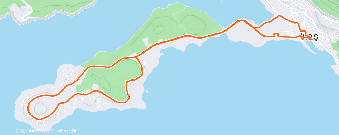 Карта физической активности (Morning Run)