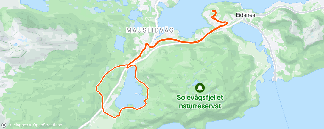 Map of the activity, Evening Run - 47/2024. Mausavatnet.