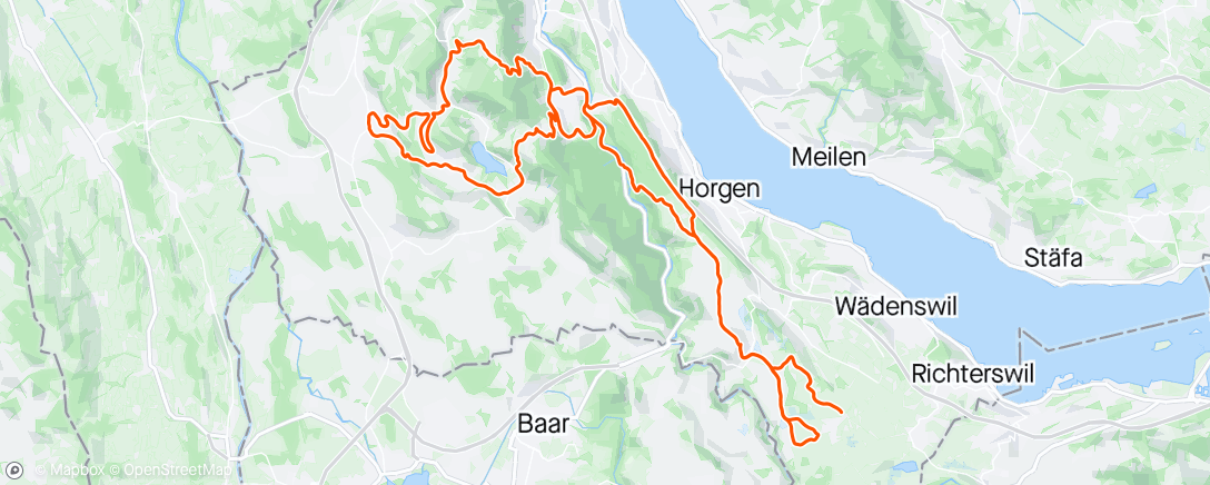 Mapa da atividade, Hirzel Buchenegg Albis