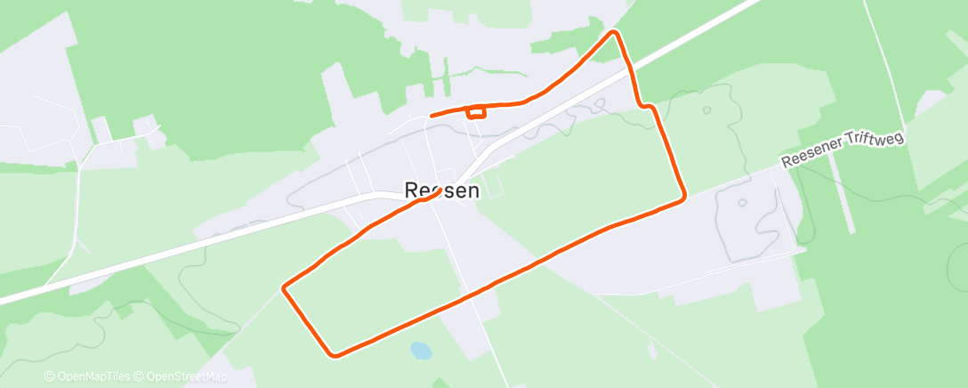 Map of the activity, Lauf am Morgen