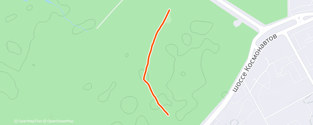 Map of the activity, Утренняя прогулка