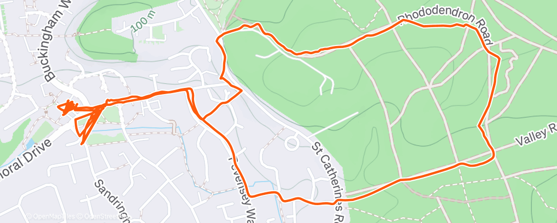 Map of the activity, Morning Run