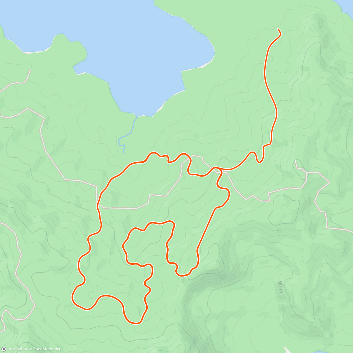 Map of the activity, Zwift - Race: KOMON CATCH Up Race on Jungle Circuit in Watopia