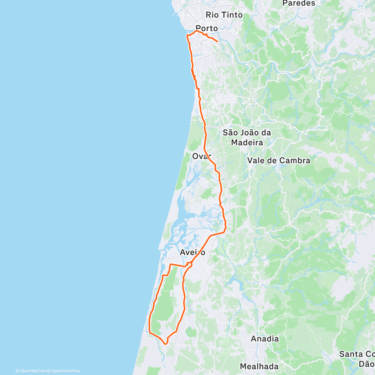 Карта физической активности (✨️The Magic Bench◇MIRA✨️)