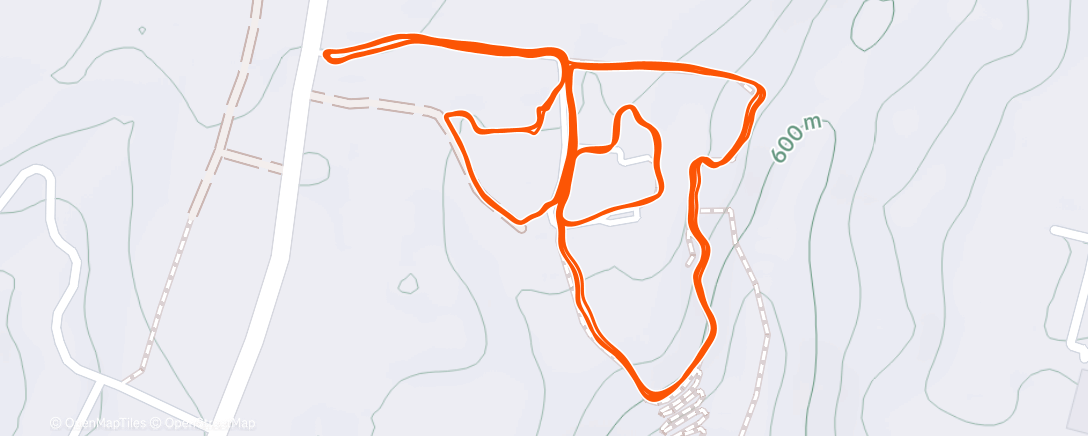 Карта физической активности (Evening Run)