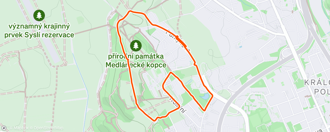 Map of the activity, Evening Trail Run