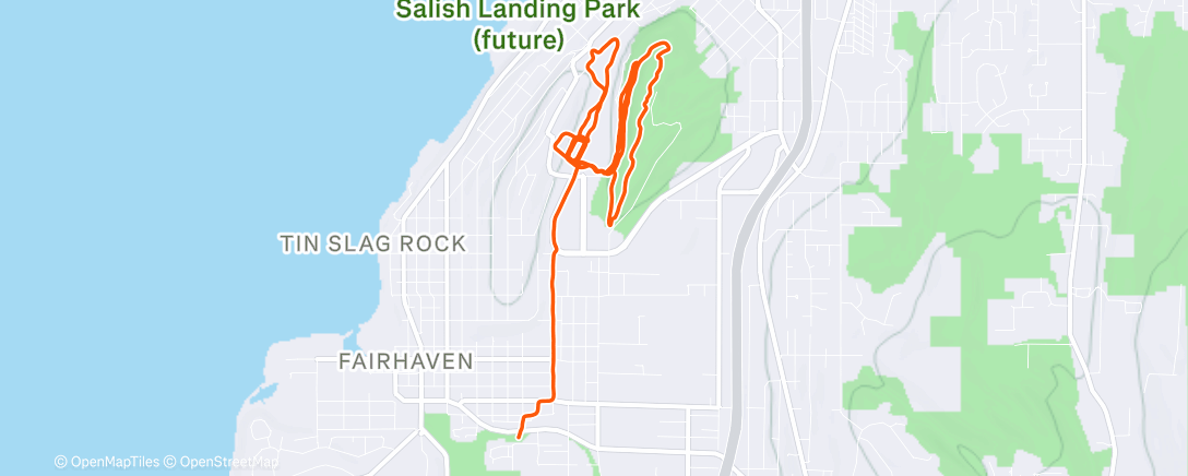 Карта физической активности (Morning Run)