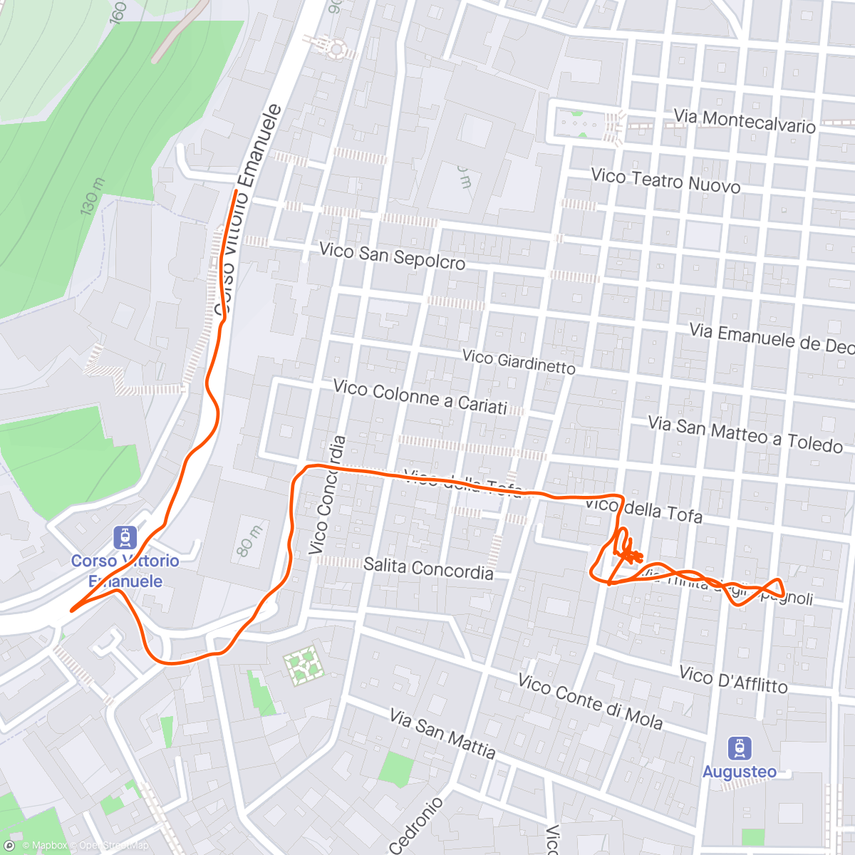 Map of the activity, Some of a walk in Naples