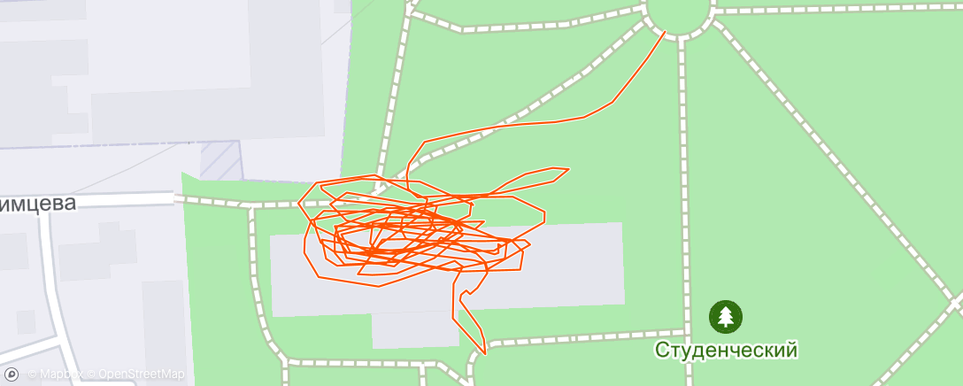 Map of the activity, Evening Run