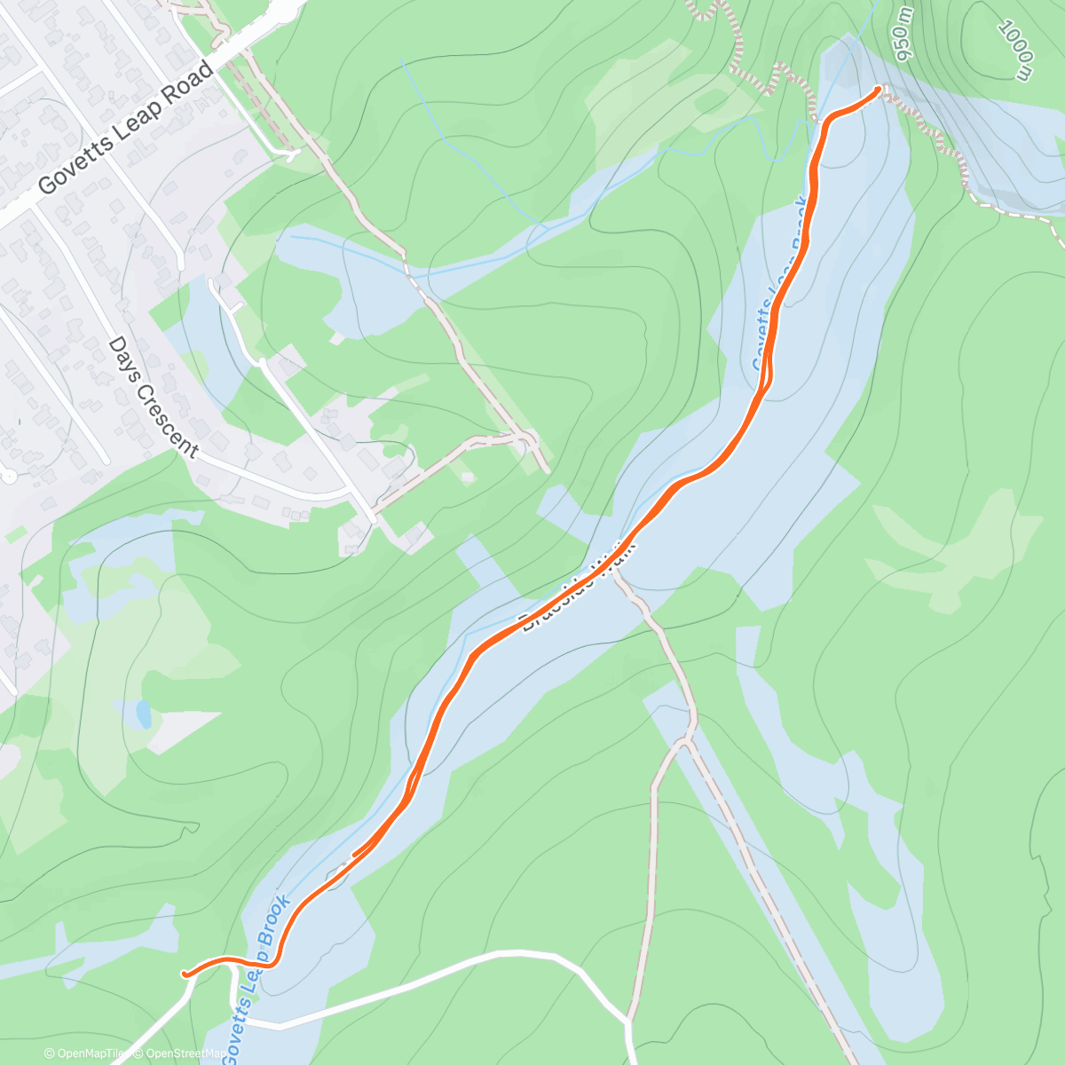 Map of the activity, Morning Hike