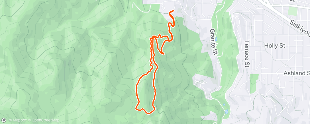 Карта физической активности (Morning Trail Run)