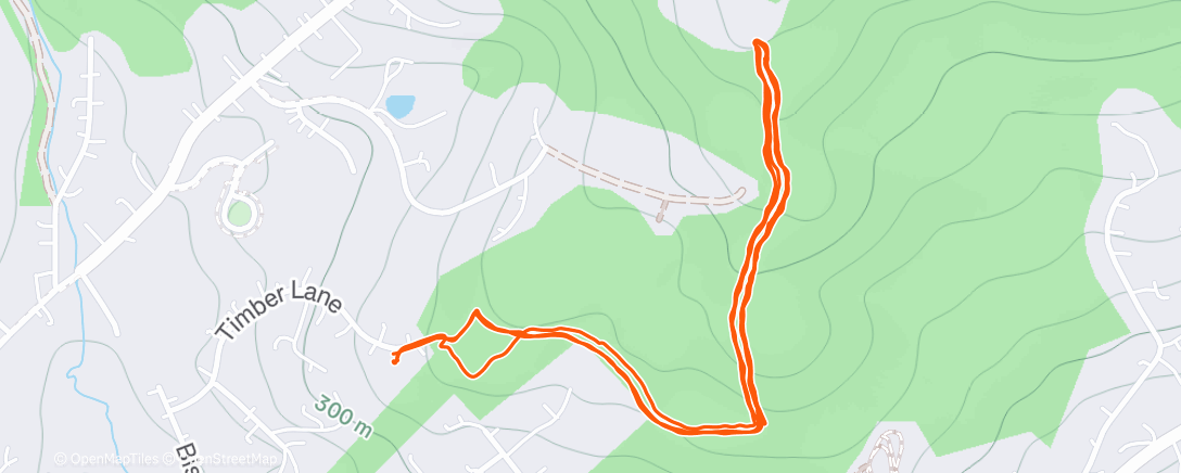 Map of the activity, Afternoon Run