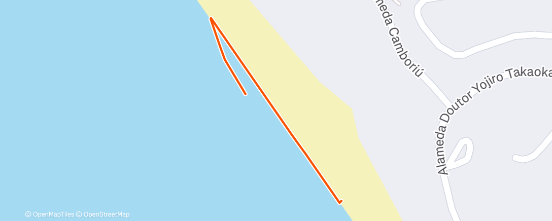 Карта физической активности (Afternoon Swim)