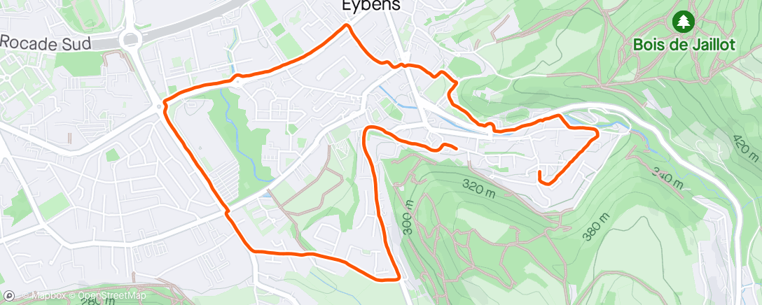 Карта физической активности (Morning Trail Run)