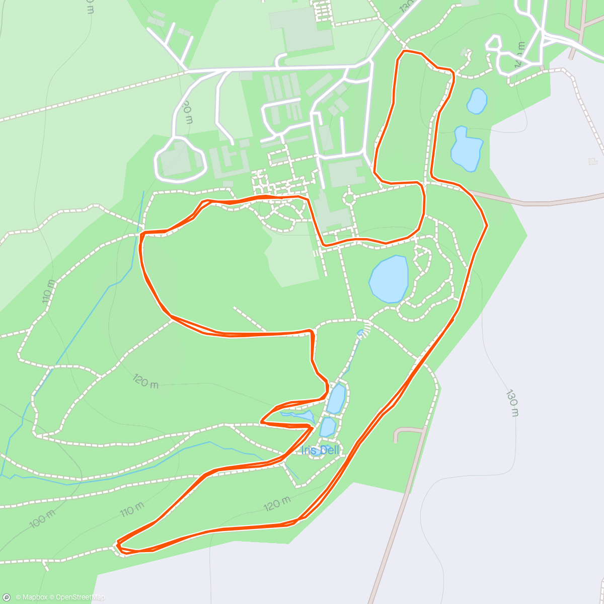 Map of the activity, Wakehurst parkrun number #1 and a first sub 27 min 5k for Toby!