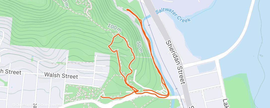 Map of the activity, Tried to run, still injured.