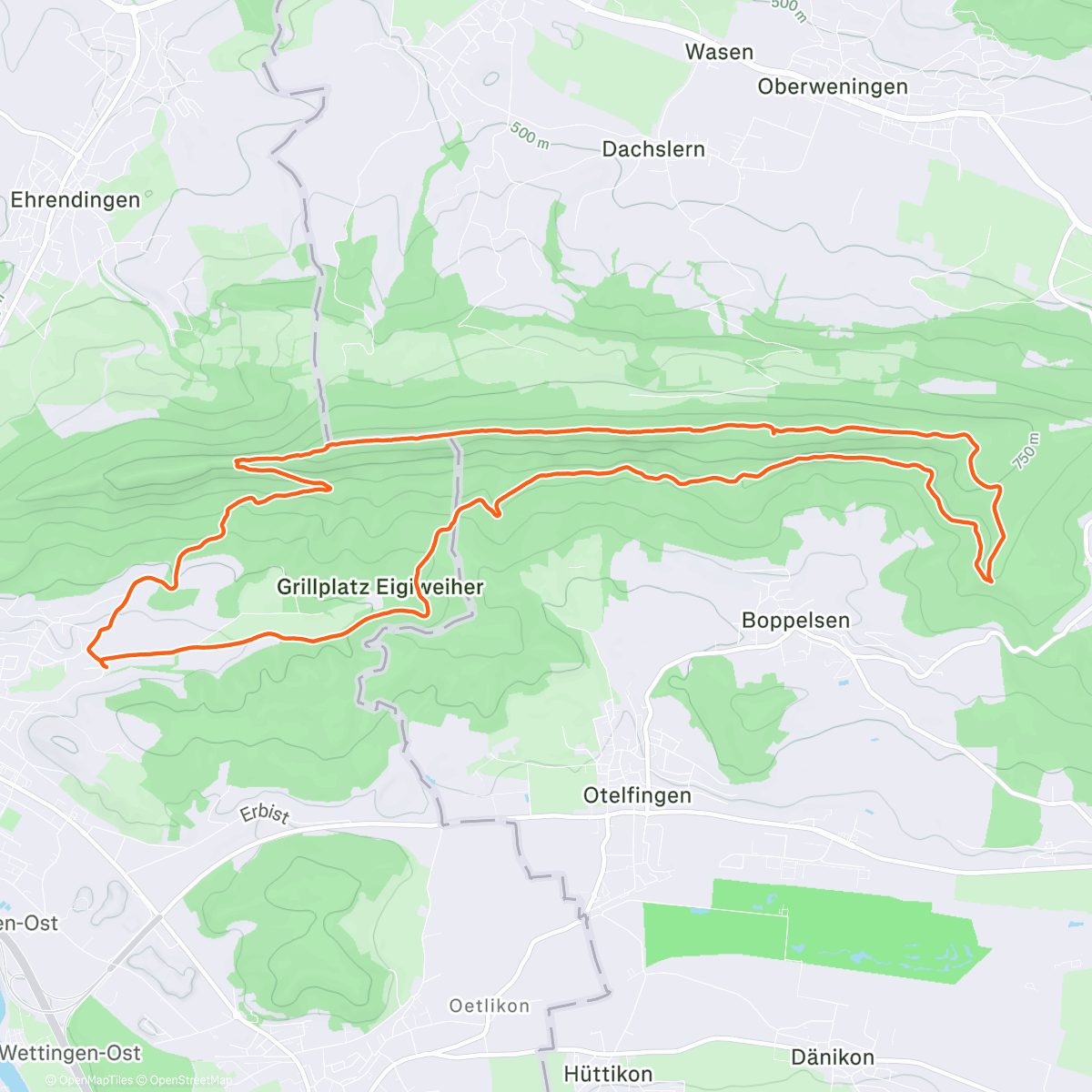 Карта физической активности (Lägere 🌤️)