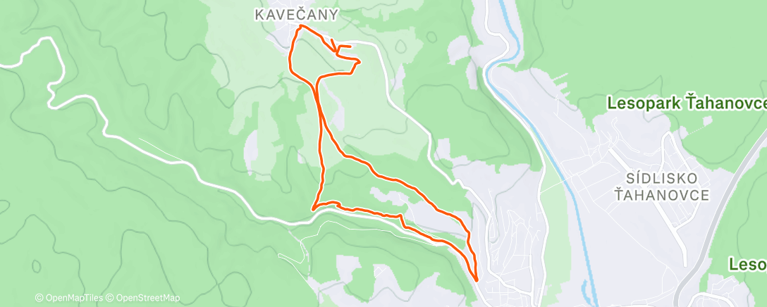 Карта физической активности (Afternoon Run)