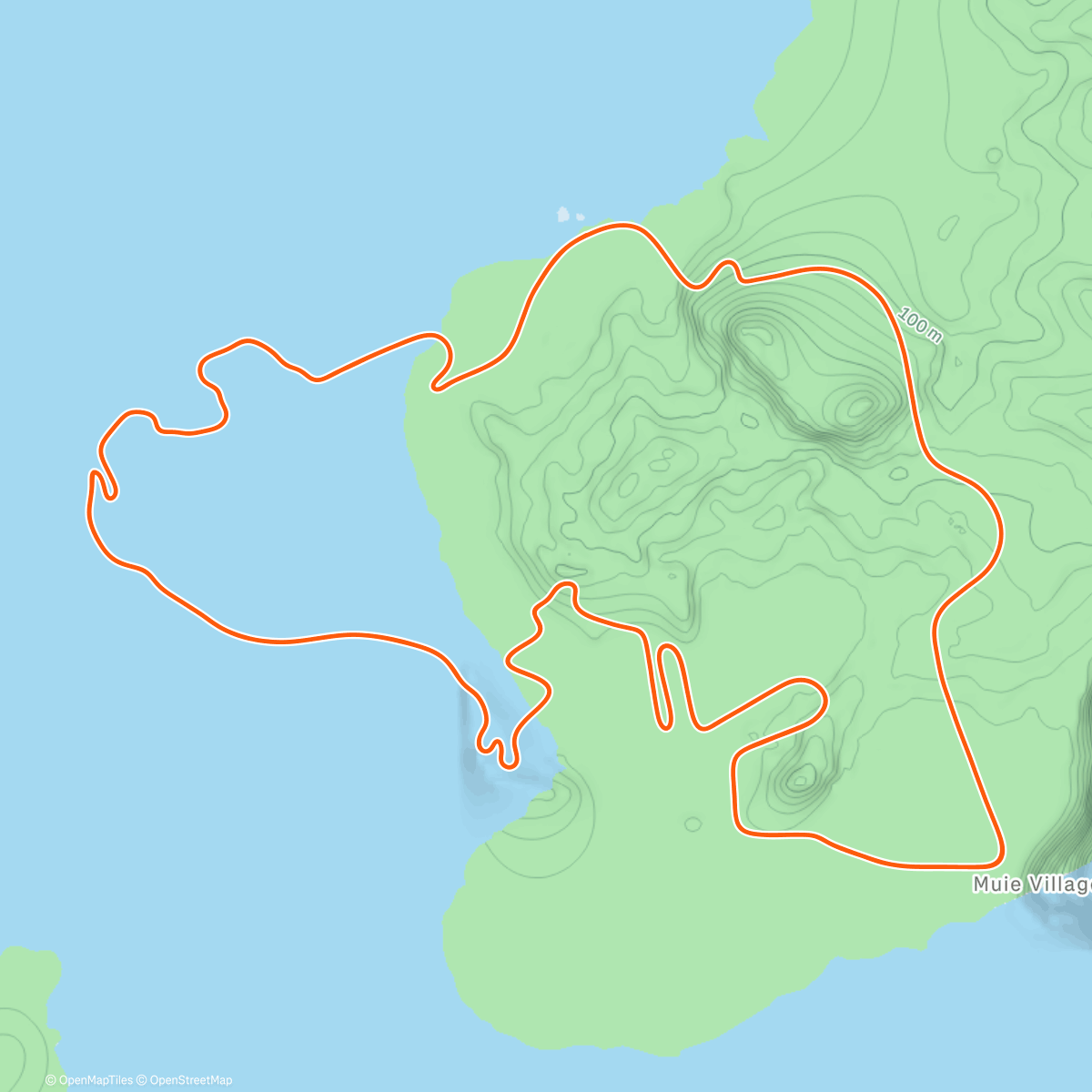 Карта физической активности (Zwift - Beach Island Loop in Watopia)