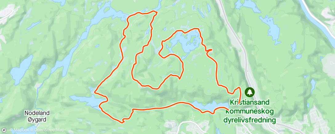 Map of the activity, Bymarka Vest med Dyret.