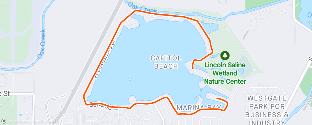Карта физической активности (30min up hill, in the snow, 60mph headwind, carrying 20lbs weights. That's what this run felt like. Jeez I have some work to do but up for the challenge.)