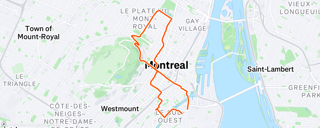Map of the activity, Long run avec Oli
