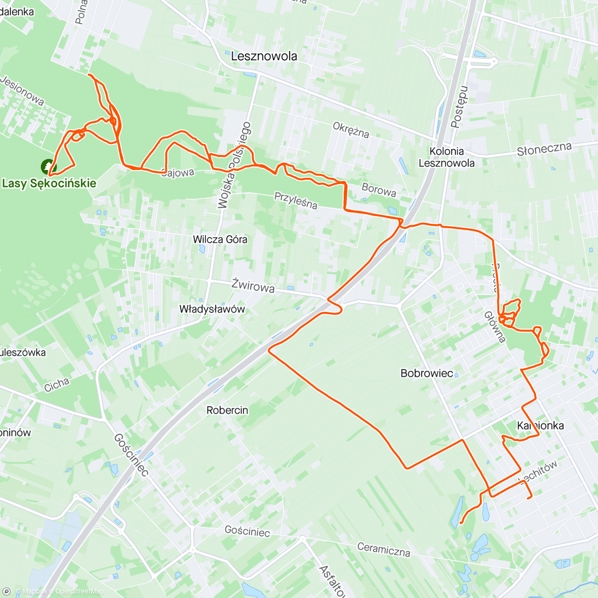 アクティビティ「MTB - w poszukiwaniu dzików, bobrów i jeleni」の地図