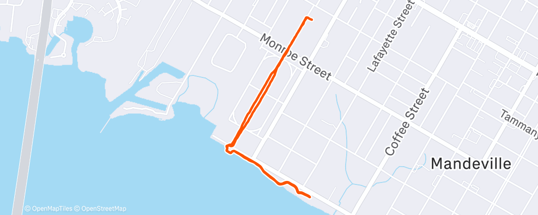 Mapa de la actividad (Morning Walk)