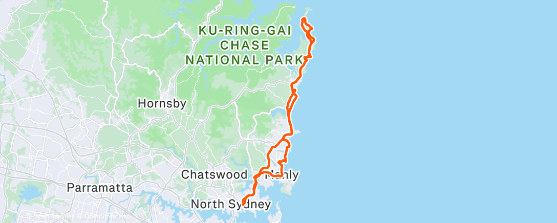 Карта физической активности (Morning Ride)