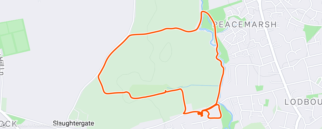 Map of the activity, Morning Walk