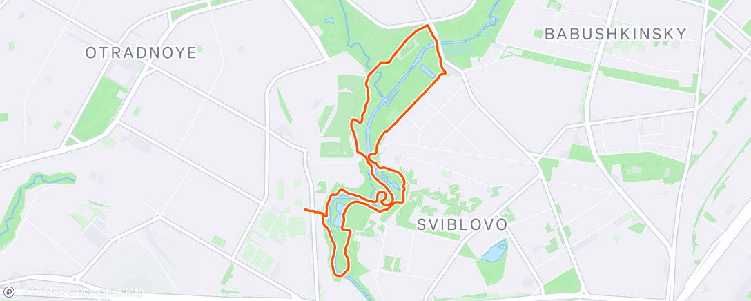 Map of the activity, Morning Run