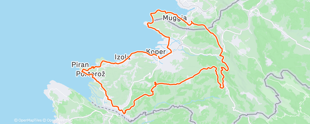 Карта физической активности (Last one🥹)