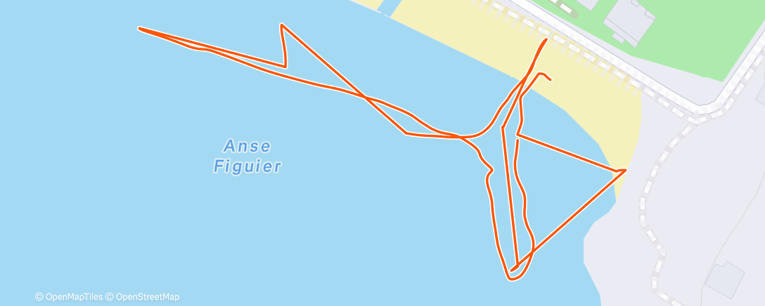 Map of the activity, Lunch Swim