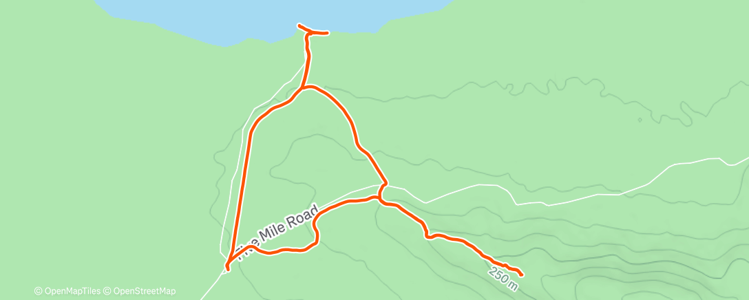 Карта физической активности (Afternoon Hike)