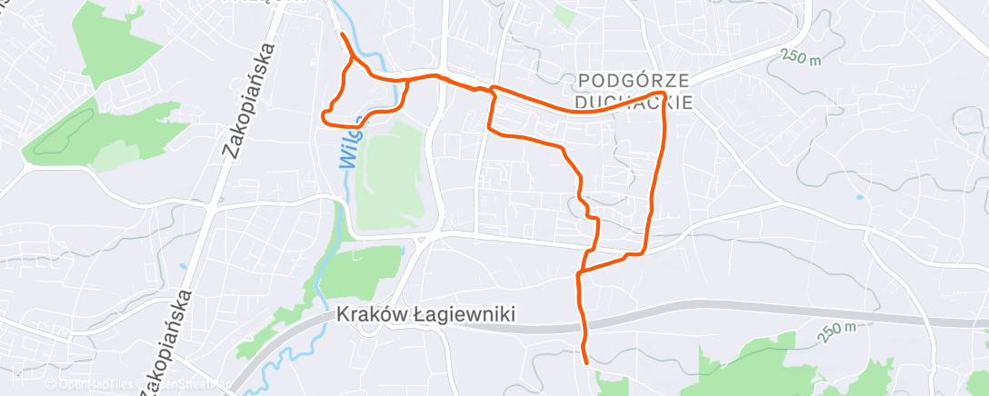 Карта физической активности (Evening Run)