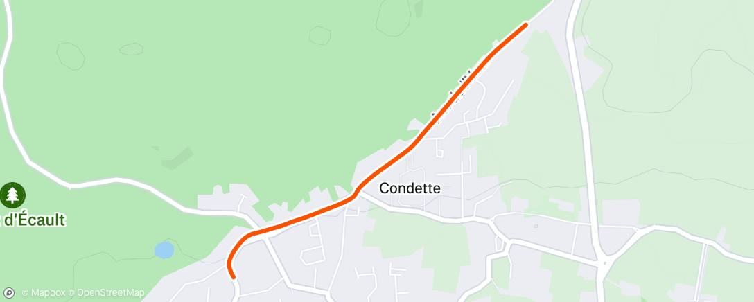 Карта физической активности (Course à pied le midi)