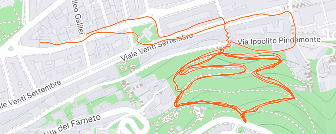 Карта физической активности (Morning Trail Run)