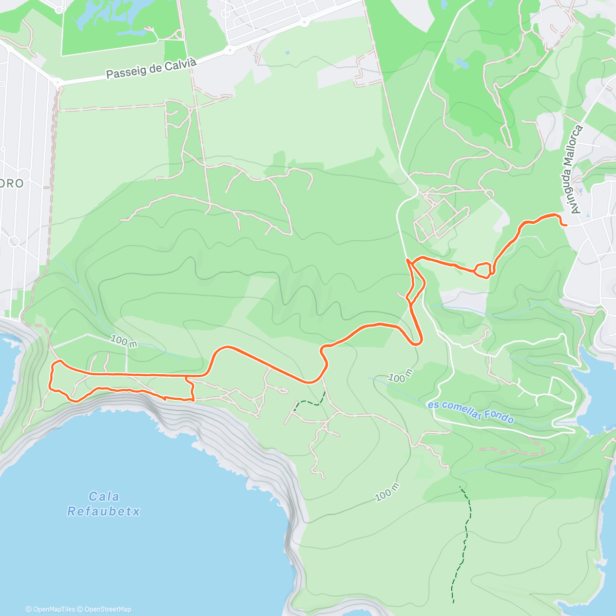 Map of the activity, Trail Run Fun