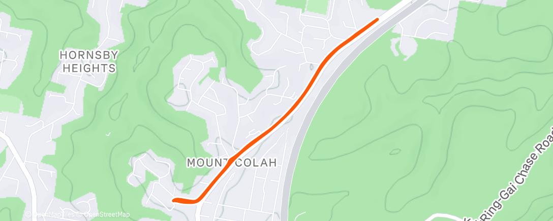 Map of the activity, Evening Run