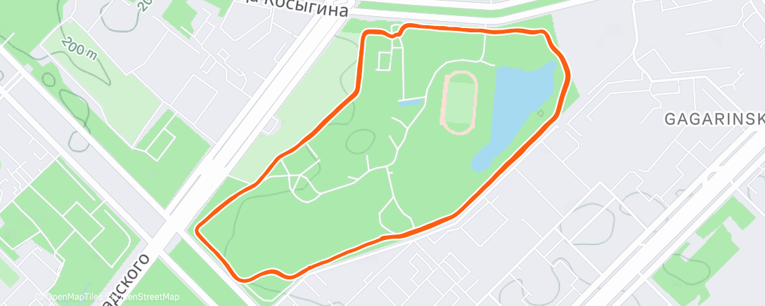 Карта физической активности (Lunch Run)