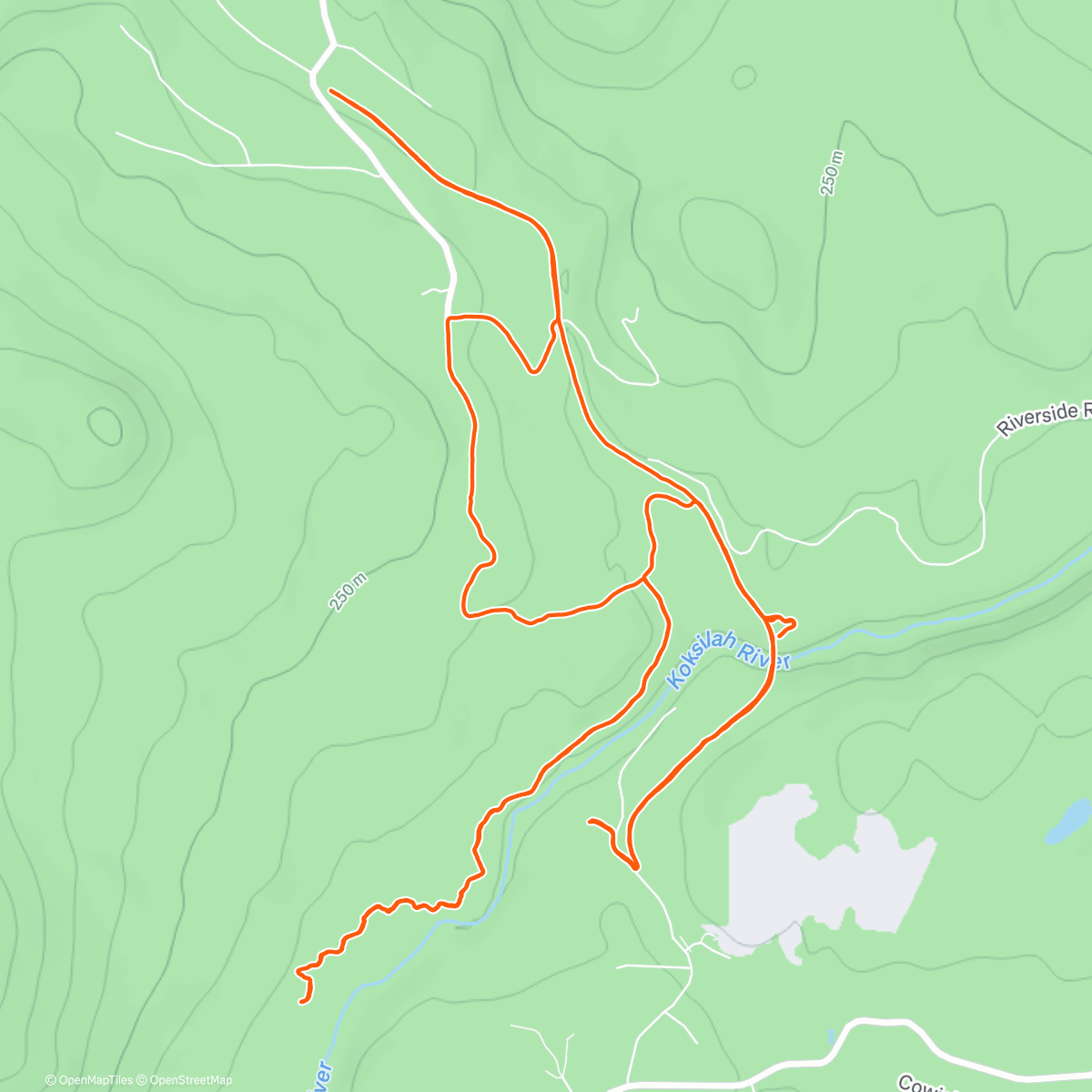 Карта физической активности (Morning Trail Run)