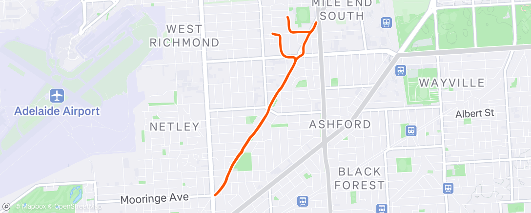 Map of the activity, Morning Run