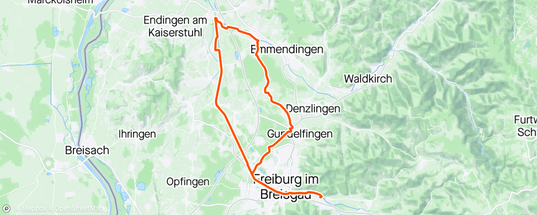 Карта физической активности (Mountainbike-Fahrt am Nachmittag)