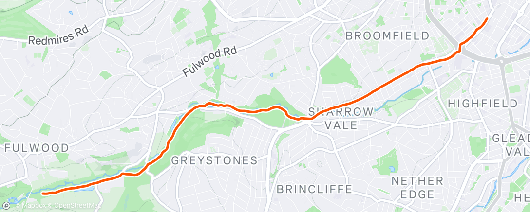 Map of the activity, Morning Run