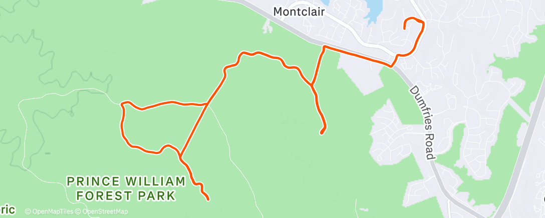 Карта физической активности (Lunch Run)