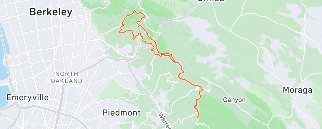 Map of the activity, Brisk (weather not pace)
