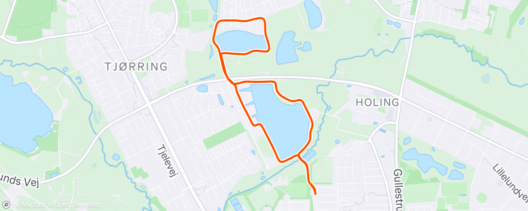 Map of the activity, Afternoon Run
