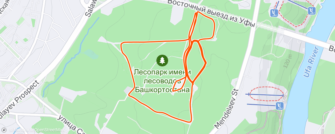 Map of the activity, Утренний забег