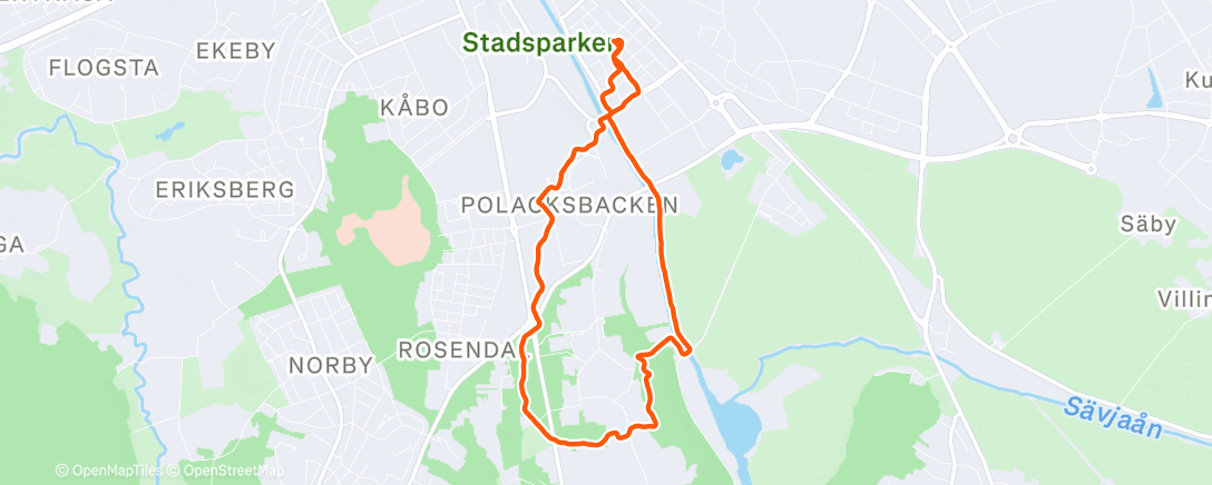 Карта физической активности (Evening Trail Run)